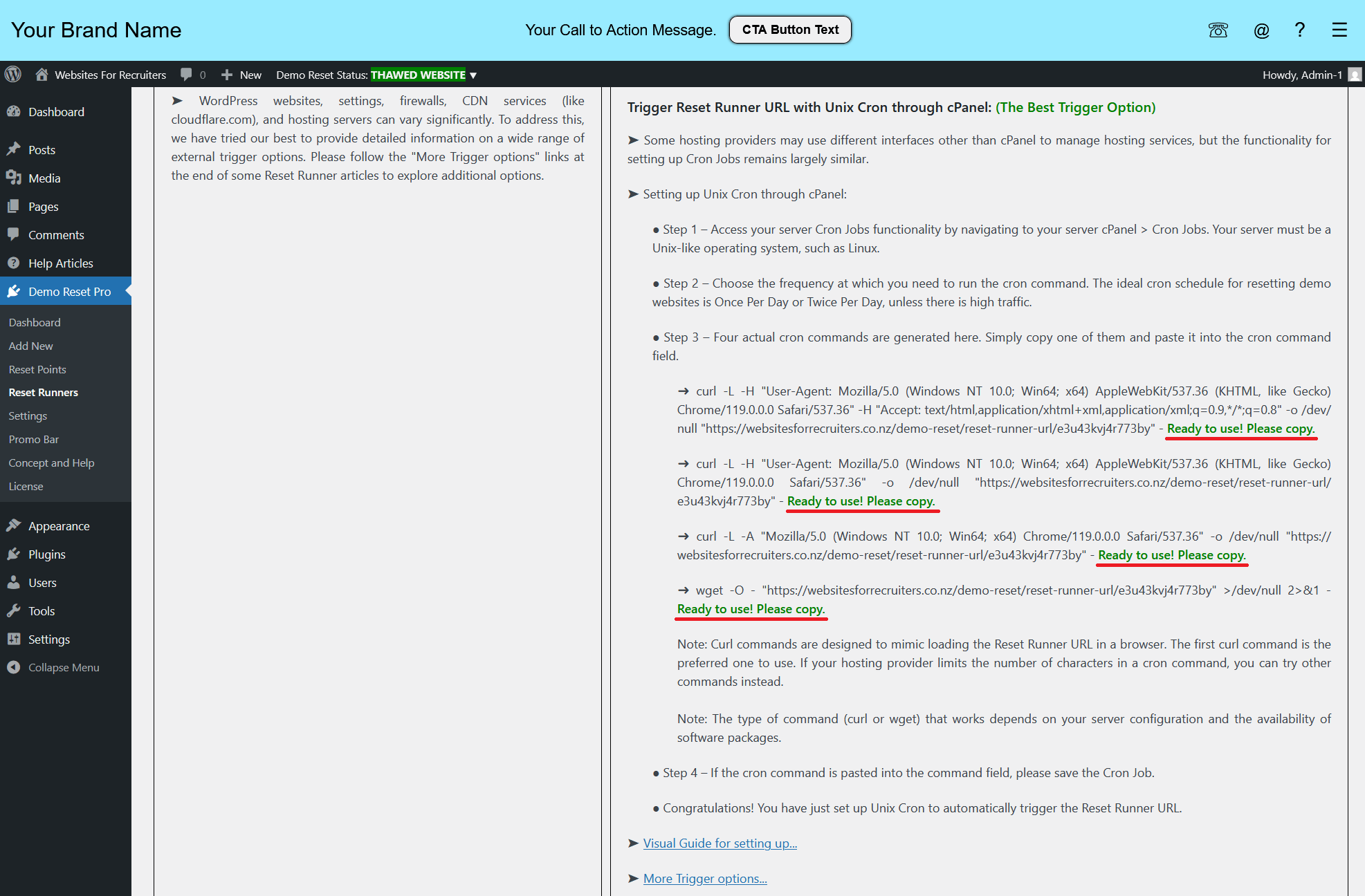 Reset Runner URL Notes